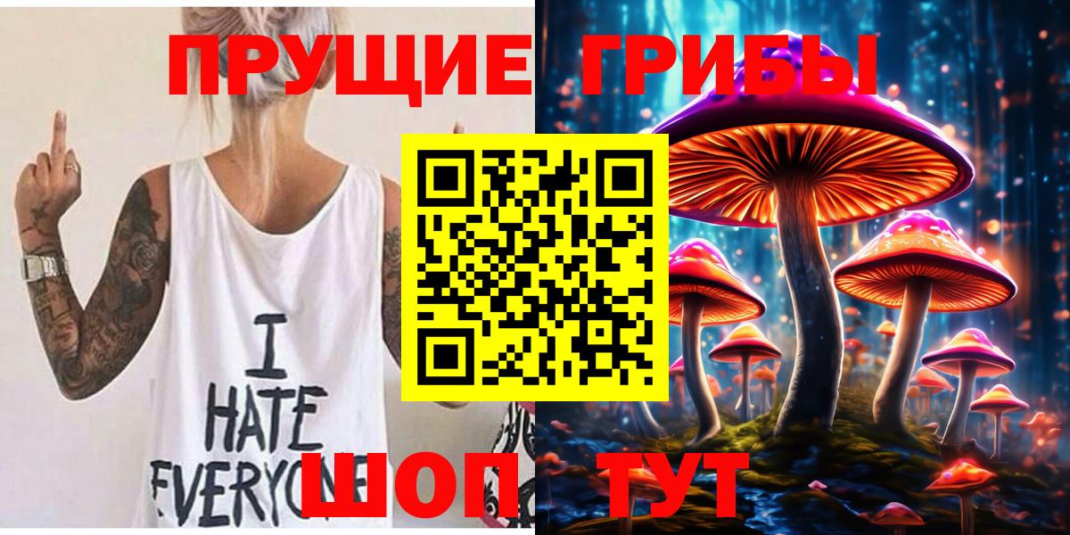 Псилоцибиновые грибы Cubensis  Вход с VPN  Александров  Псилоцибиновые грибы MAGIC MUSHROOMS 